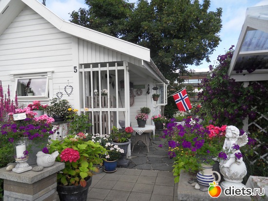 2 ����: �������� �� ����������, ����� ��������� ���� !!