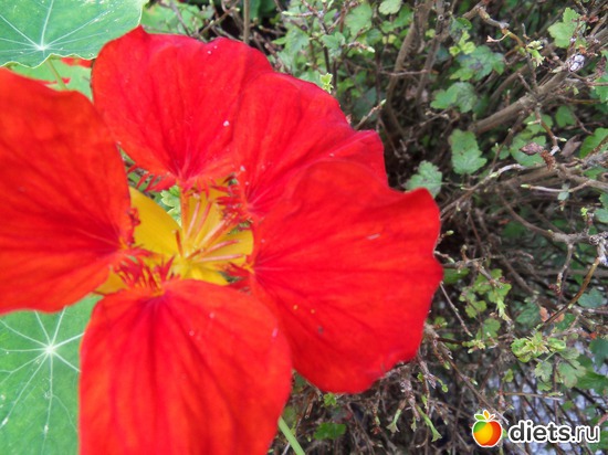 3 ����: �������� �� ����������, ����� ��������� ���� !!