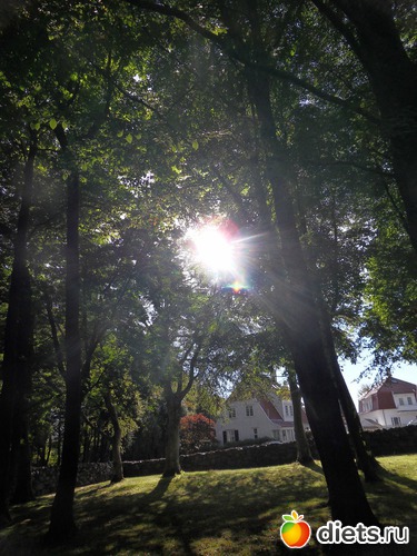 4 ����: �������� �� ����������, ����� ��������� ���� !!