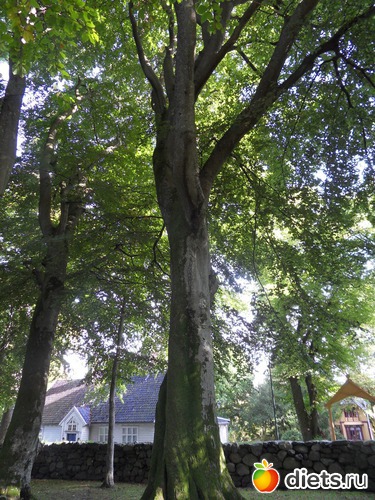 5 ����: �������� �� ����������, ����� ��������� ���� !!