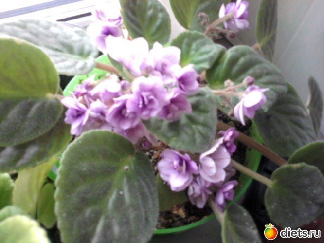 9 ����: ��� ��������