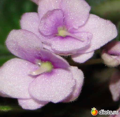 1 ����: ��� ��������