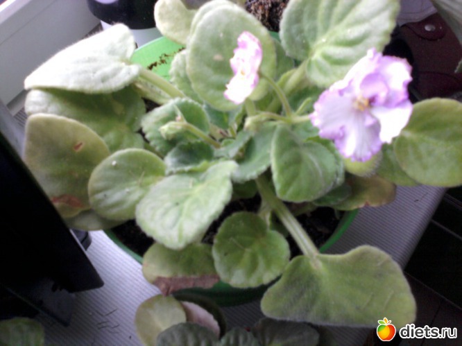 10 ����: ��� ��������