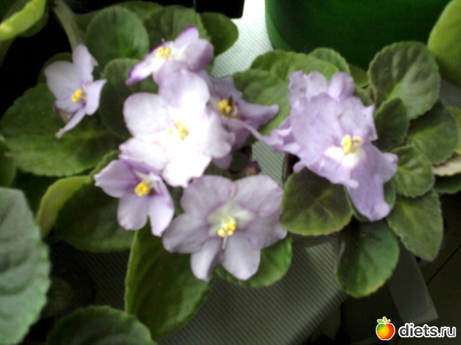 11 ����: ��� ��������