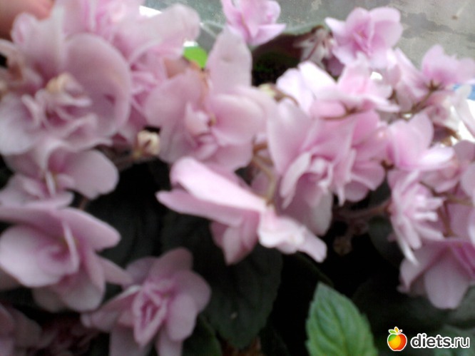 13 ����: ��� ��������