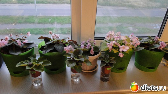 2 ����: ��� ��������