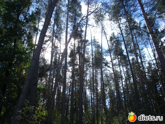 1 ����: � ����