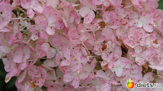 1 ����: ������� �����