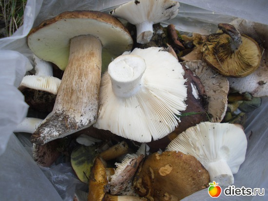 ��� ����, ������: � ����