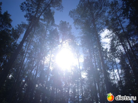 ������)), ������: � ����