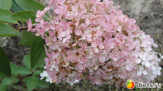 2 ����: ������� �����