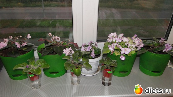 3 ����: ��� ��������