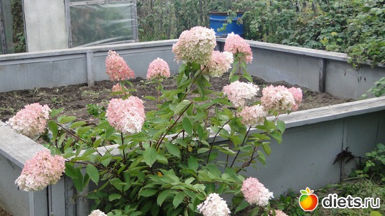 3 ����: ������� �����