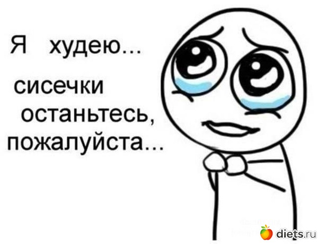 26 ����: �����