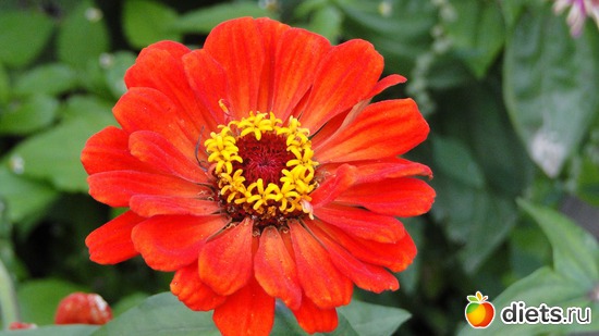 9 ����: ������� �����