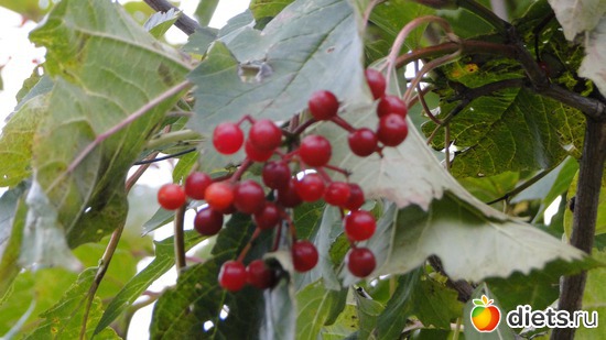 4 ����: ������� �����