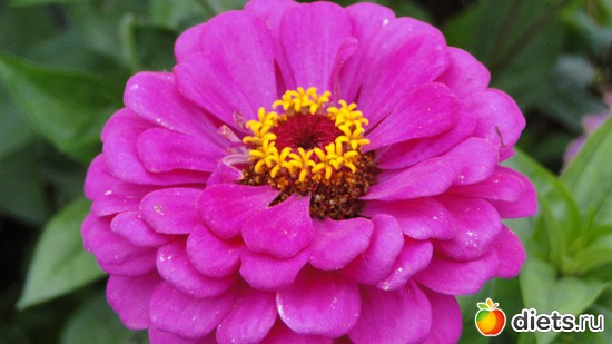 10 ����: ������� �����