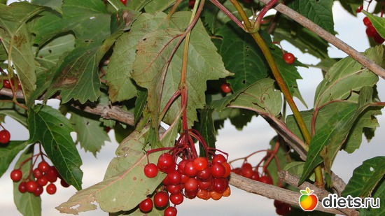 5 ����: ������� �����