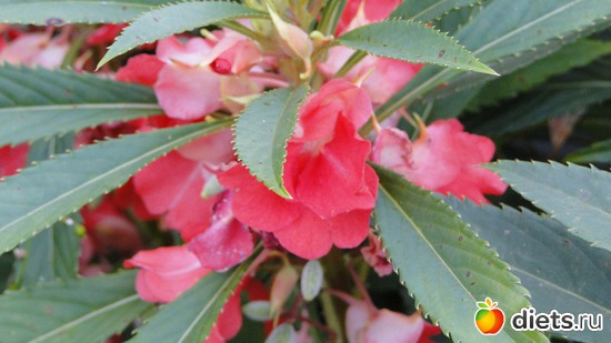 11 ����: ������� �����