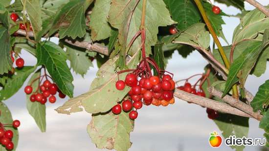 6 ����: ������� �����