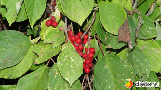 7 ����: ������� �����