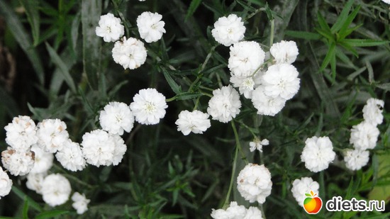 8 ����: ������� �����