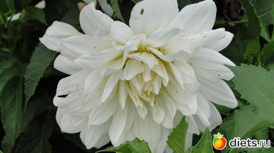 14 ����: ������� �����