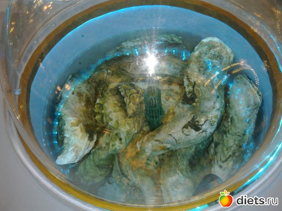 43 фото: Елисеевский ОТКРЫТИЕ!