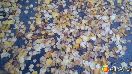 25 ����: ��� ������� �����