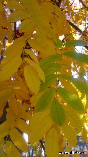 27 ����: ��� ������� �����