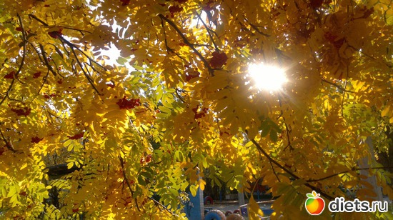 28 ����: ��� ������� �����