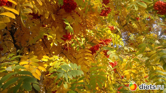 29 ����: ��� ������� �����