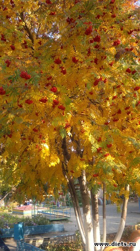 30 ����: ��� ������� �����