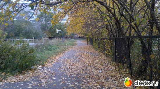 31 ����: ��� ������� �����