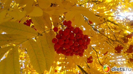 32 ����: ��� ������� �����