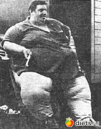 ������ ����