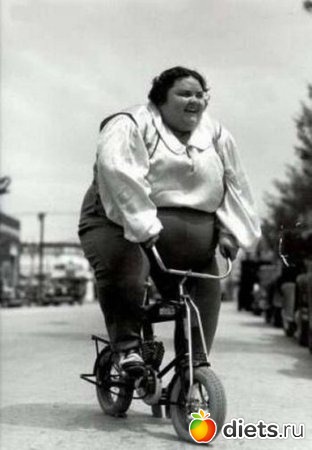 ������ ����