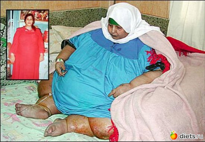 22 ����: ������ ����