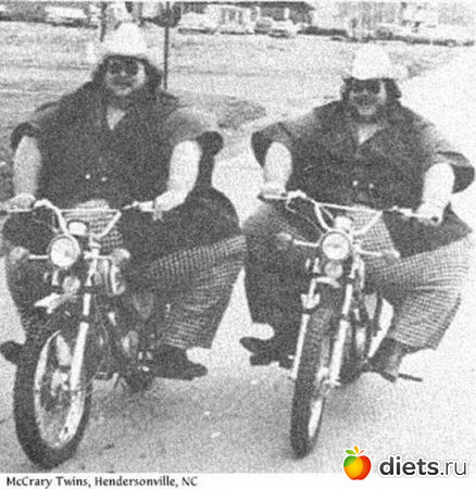 ������ ����