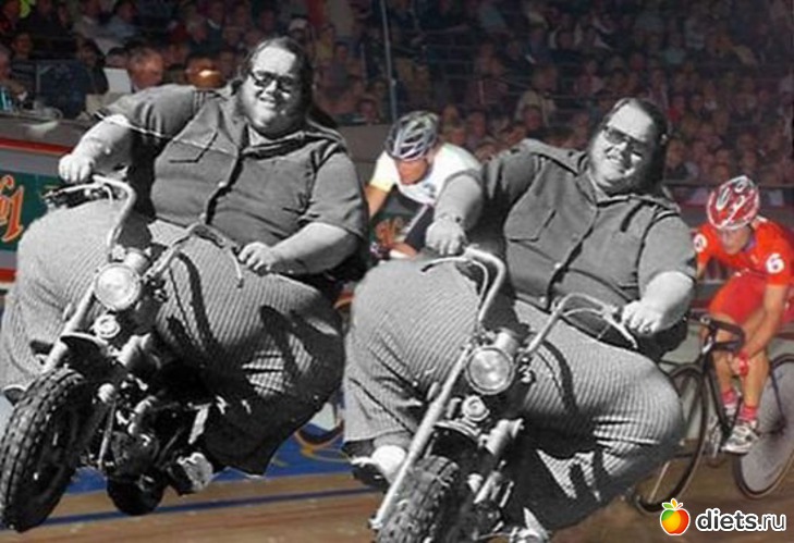 26 ����: ������ ����