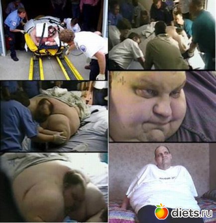 ������ ����