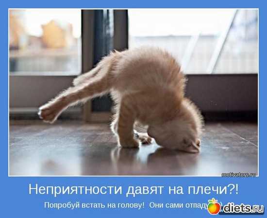 7 ����: ����������