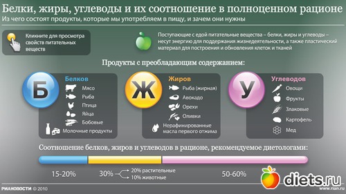 Масло сыр сметана орехи какие вещества содержатся