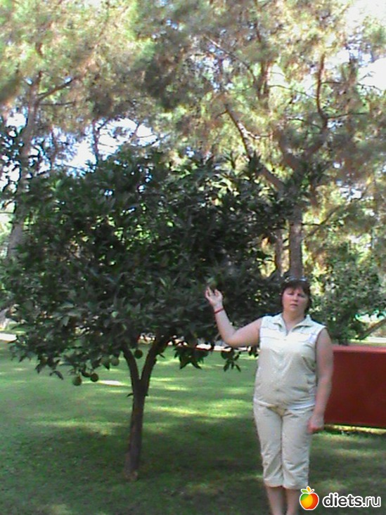 ��������� � ������ ������ ��������� ��� ��� -�������, ������ � �����., ������: ����� � ������.