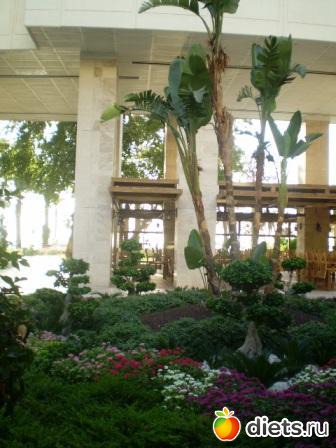 ����� � ������.