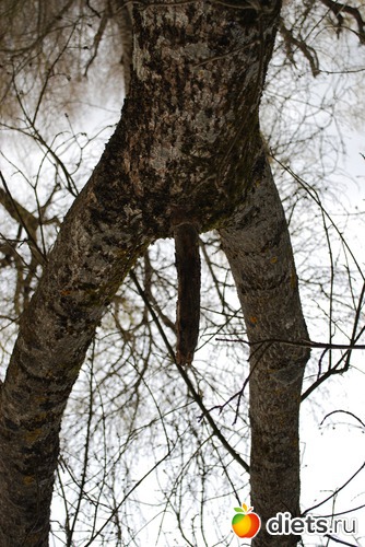 ������, ������: ����� � �������