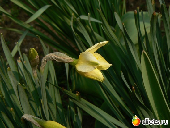 2 ����: ����� � �������