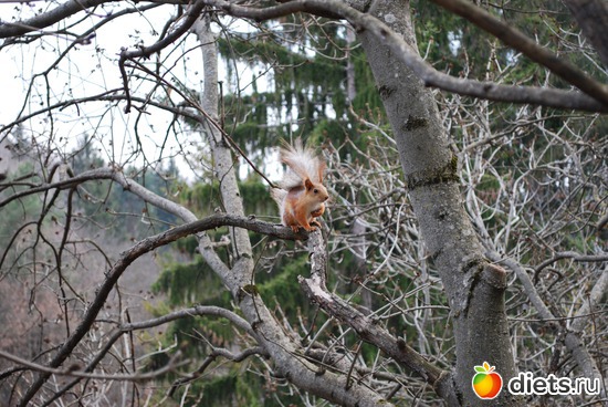 9 ����: ����� � �������