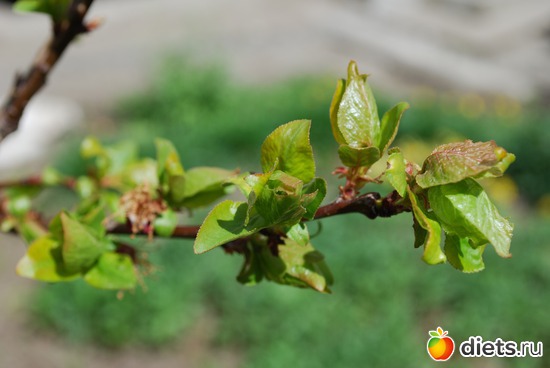 10 ����: ����� � �������