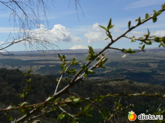 ������� �����, ������: ����� � �������